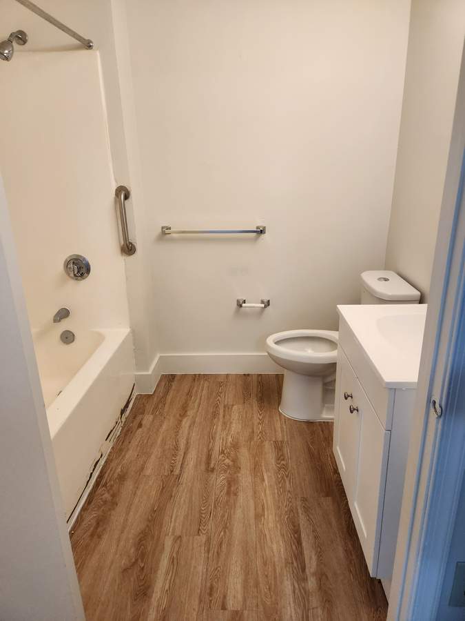 Bathroom with new wood-look floor and fixtures